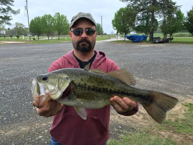 Guest holding a largemouth bass by the lake