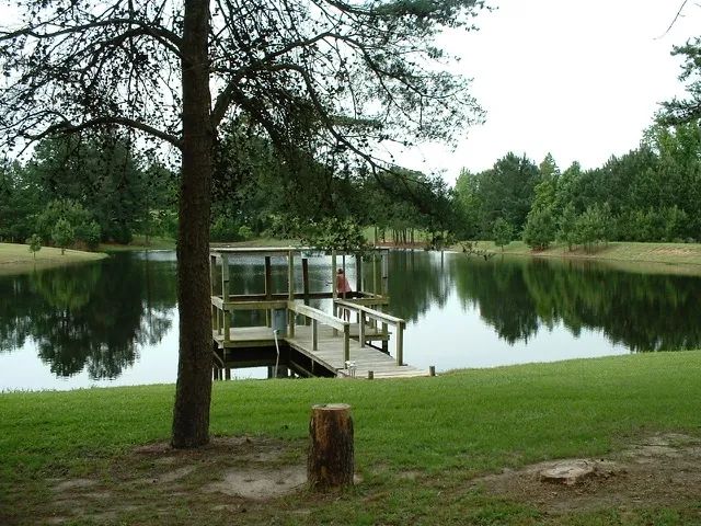 Children in life vests fishing by the lake